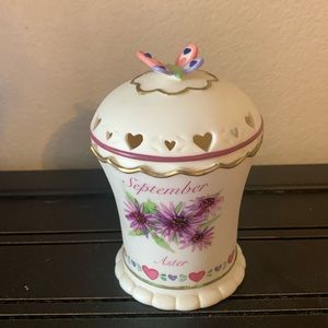 💐Avon-September Aster